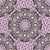 Intangible Apricity Dot Mandala Pattern Dotted Image