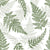 Ferns white Image