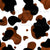 Abstract black, brown and white cow spots pattern Image