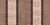 Modern Coastal Seashell Stripes Light Brown Toasty Cream and Dark Brown Image