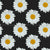 Daisies in Repeat on Black Image