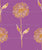 Yellow Watercolor Dandelion on purple color background, Alegria Collection Image