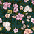 Soft tropical florals in shades of pink, peach, off white, & goldenrod with jungle green foliage on a teal background. Image