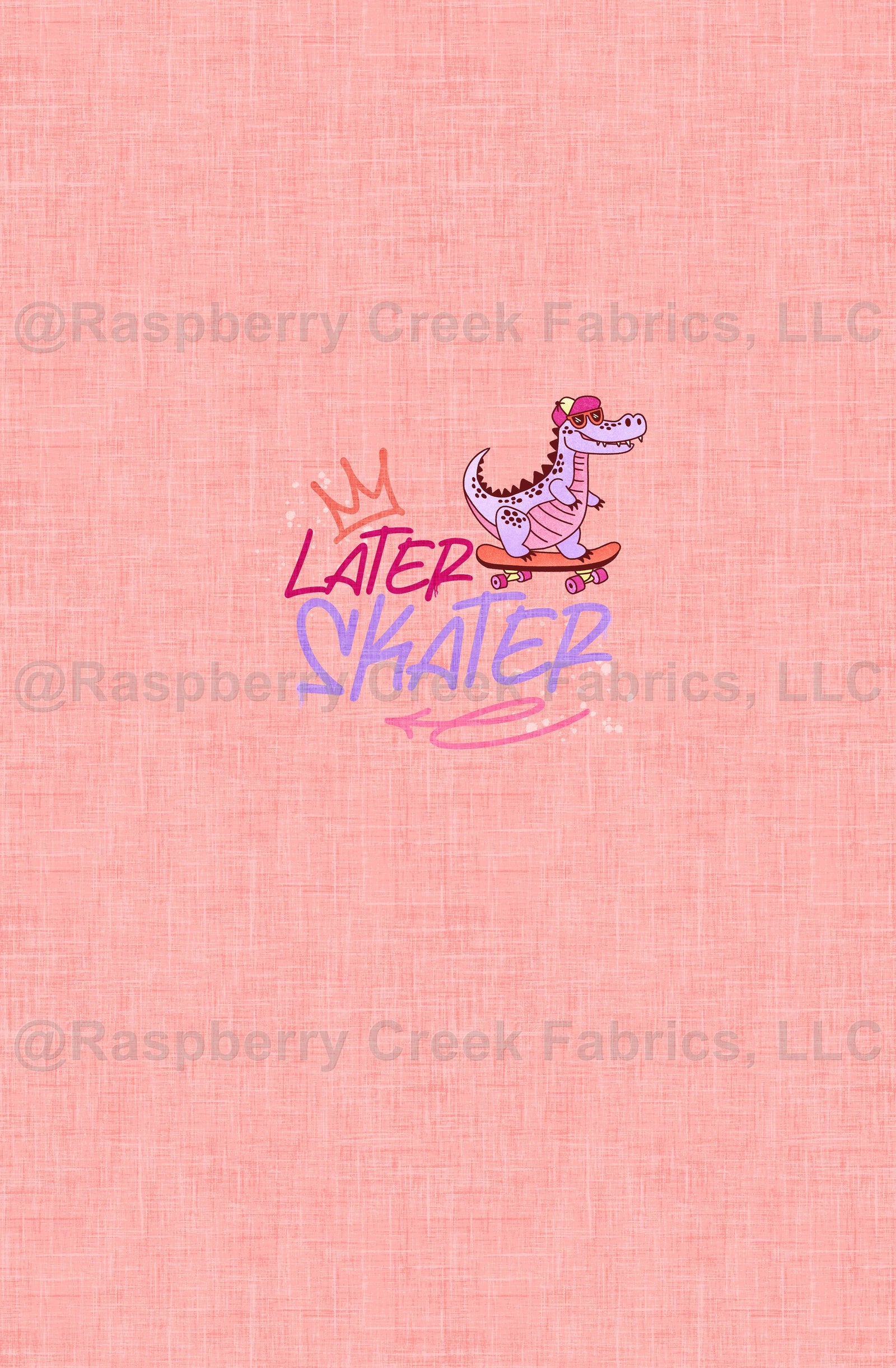 Skate Park Remix Later Skater Peach Panel