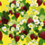 Strawberry clusters on yellow Image