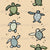 Baby Turtles on Sand, Tiny Turtles Tale by Jaslyn Lim of The LILI Path Image