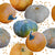 Pumpkins Dots White Image