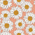 White Daisies on Peach Image