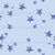 Festive winter stars light blue Image