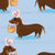Easterweenie Wiener dog with easter basket on a baby blue background - easter egg sausage dog Image