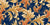 Rococo Bliss | Midnight Blue, Coral, Cream, Golden Outlined Acanthus Leaves Image