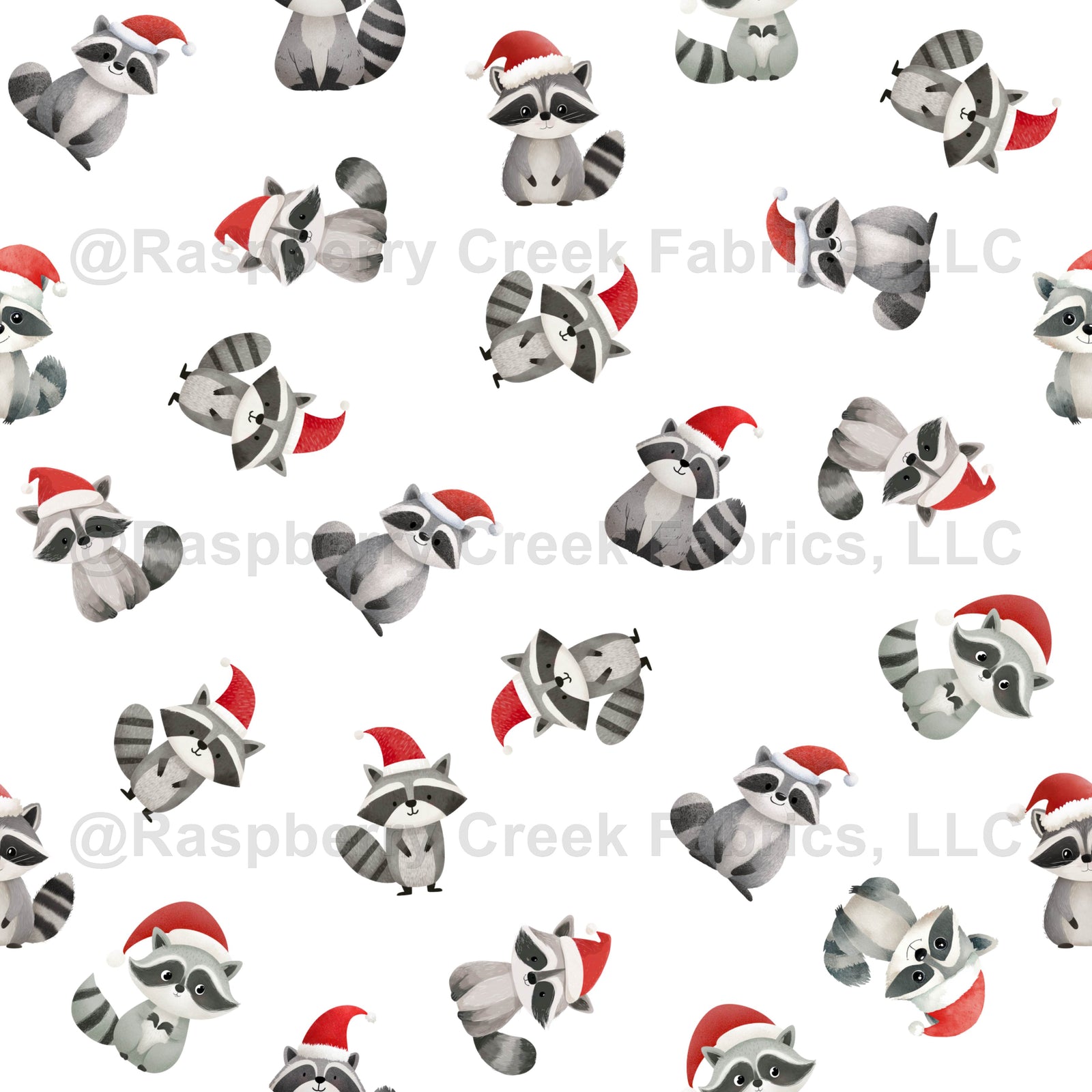 Tossed Christmas Raccoons on White
