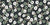 Small Sage Green and Charcoal Ditsy Floral Blooms Image
