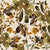 Jewel Garden in Peridot Moss, Peridot Amberglow by The Enchanted Easel Image