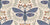 Enchanted Death's Head Skull Moth Damask + Floral Vintage Cottagecore Image