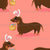 Easterweenie Wiener dog with easter basket on a coral pink background - easter egg sausage dog Image