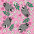 Jimothy the Seattle Raccoon in Pink Image