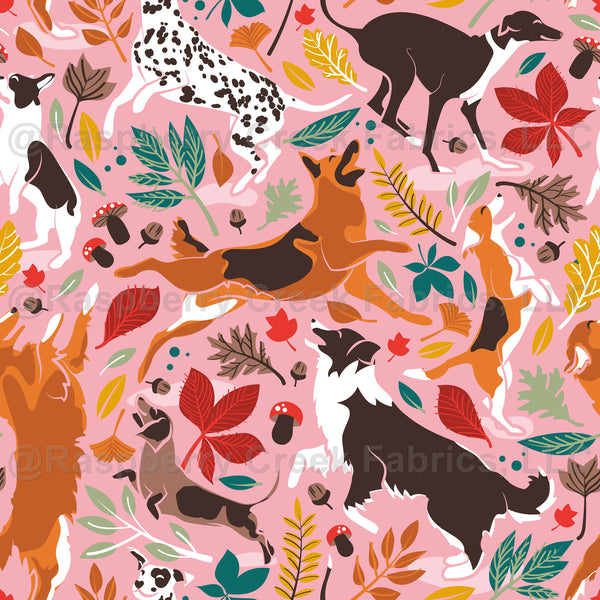 Autumn paw-fection // light pink background dogs jumping and dancing w ...