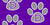 Denair Coyotes Paw Print Image