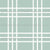 Mint & White Christmas Plaid -  Mr. & Mrs. Claus Collection Image