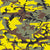 Yellow and Brown Camouflage, Military, Army Image