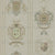 country club crests on tweed look with stripes, Neutral tweed with crests, hunt club aristocracy on tweed, taupe, warm neutral texture Image