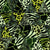 Patchwork style animal prints. Black, khaki, green Image