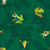 Tropical Frogs Image