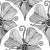 Monochrome Topography Flower Tangle Art Deco Scallop Image