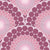 Radiant Dusky Rose Dot Mandala Scallop Image