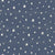 All the Stars Scatter in Dark Denim Image