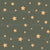 Shinig stars on rosebary green fabric Image