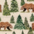 Woodland Forest Bear Image