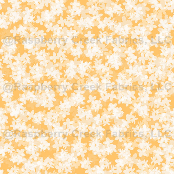 White Hydrangea Flowers on Orange Sherbet / Summer Sherbet Collection ...