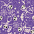 Boo! Halloween Skeletons Pumpkins Spiders Bats Skulls in Purple Image