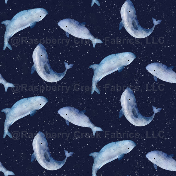 Watercolor dark blue whale, navy watercolor whale, cute watercolor wha ...