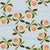 Peach Wreaths Dots Stone Washed Blue Image