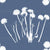 Dandelions Denim - Blow the seeds free from a Dandelion and make a wish. Pretty little flowers all in a line. Image