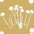 Dandelions Gold - Blow the seeds free from a Dandelion and make a wish. Pretty little flowers all in a line Image