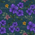 Bright purple wildflowers, yellow orange wildflowers and deep red wildflowers floral on a dark teal background Image