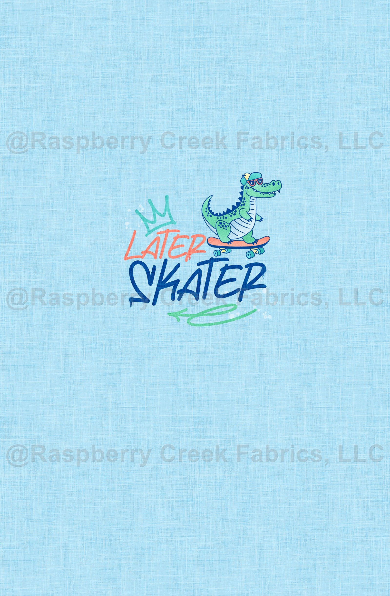Skate Park Remix Later Skater Blue Panel