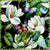 Southern Magnolias and Butterflies Fabric, Floral design, black background, Gardenia lover gift, Bold and Beautiful Collection Image