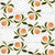 Peach Wreaths Dots White Image