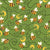 Green Honeybee Dance Image
