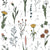 Wildflower Surprise - Project Wild Side - Kids Nature Inspired Sketch Florals on White Image