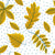 Polka leaves Image