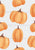 Spooky Cute Pumpkins White Image