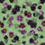 Moody Violas Floral Peapod Green Image