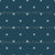 Blackthorn Berry X Image