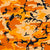 Orange Camouflage, Military, Army Image